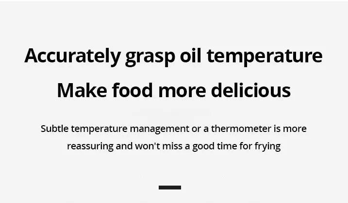 Friteuse en Inox avec Thermomètre Intégré